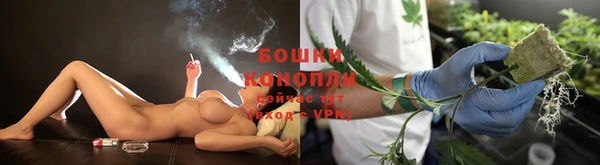 крисы Карталы