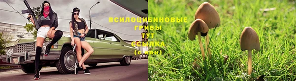 марки nbome Касимов
