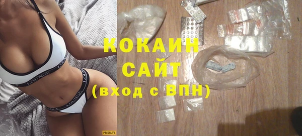 индика Каменка
