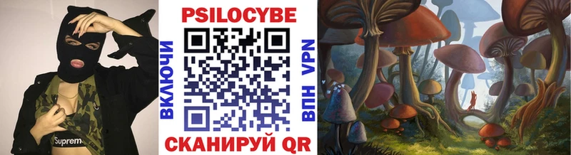 Купить закладки  Боровичи  Псилоцибиновые грибы Magic Shrooms 
